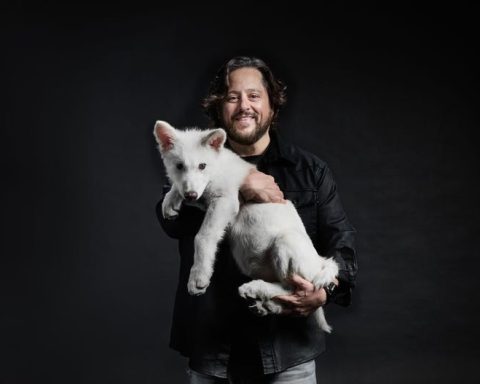 Gentle Guardian: A Man and His Wolf Pup