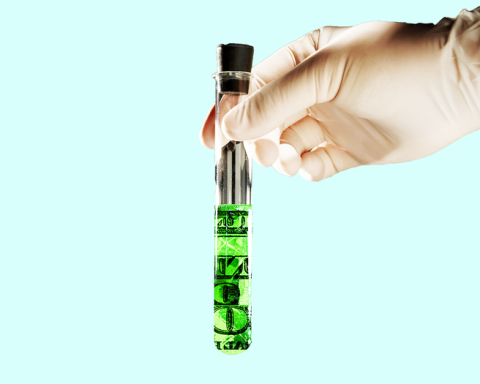 Wealth in a Test Tube: A Curious Experiment in Finance