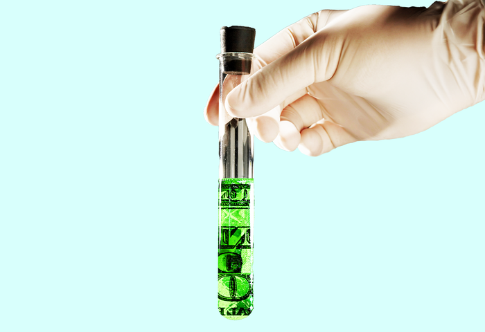 Wealth in a Test Tube: A Curious Experiment in Finance